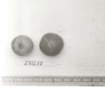 Click for 1 image(s) for this accession. FRUIT
